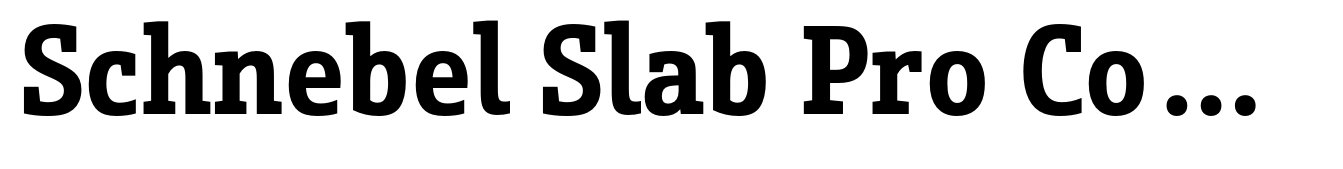 Schnebel Slab Pro Condensed Bold